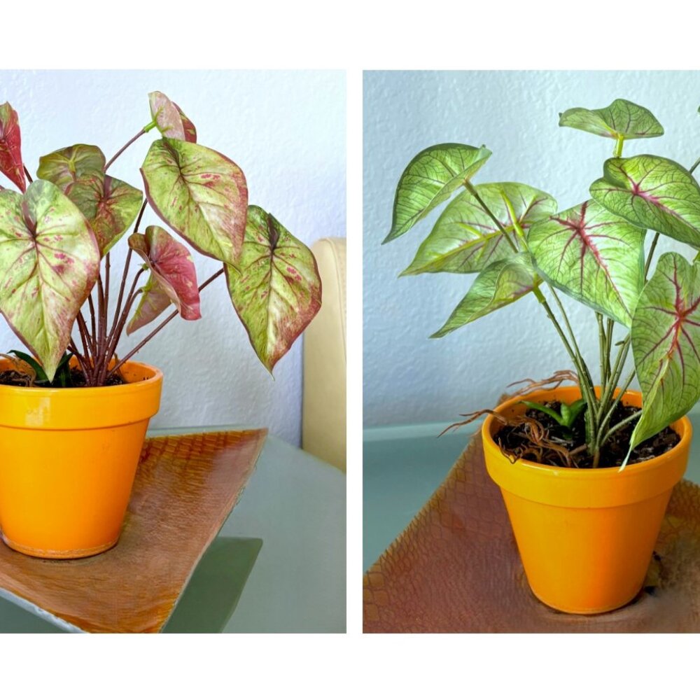 10" Tall Realistic Faux Red & Green Variegated Caladium Plant Plants Vase Accent